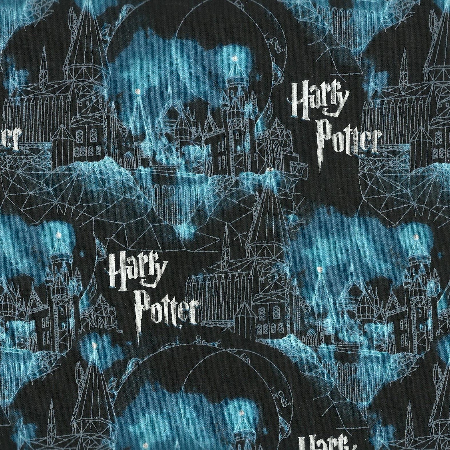 Harry Potter Maxx Scrub Hat