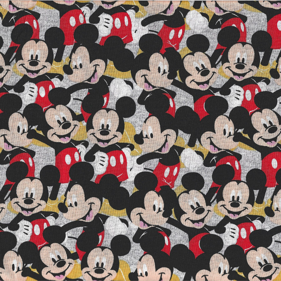 Hey Mickey Maxx Style