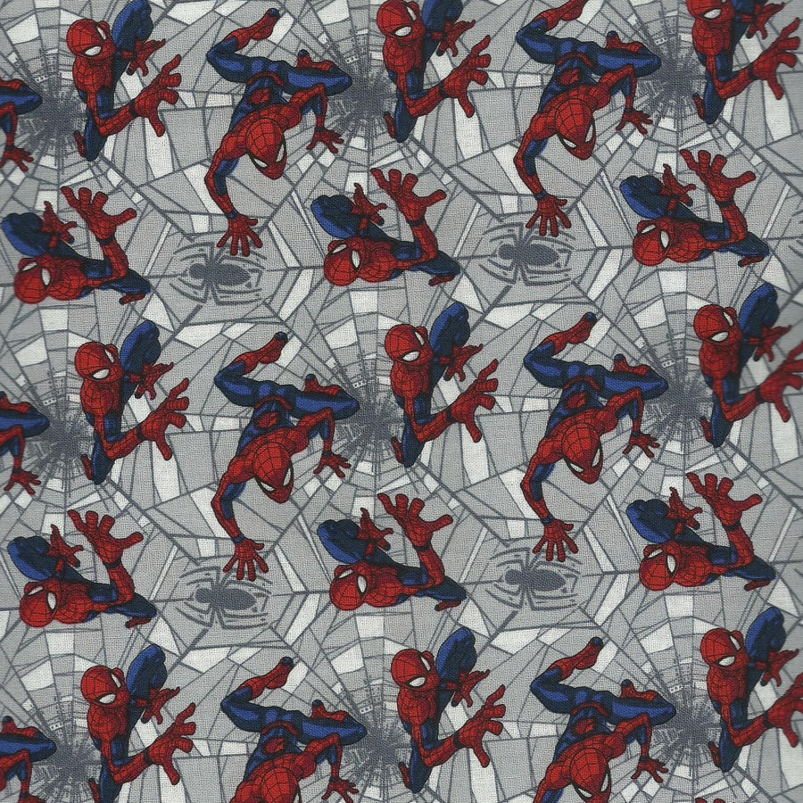 Spiderman 2 Maxx Scrub Hat