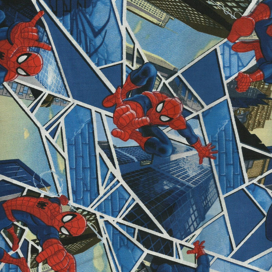 Spider Panes Phoenix Scrub Hat